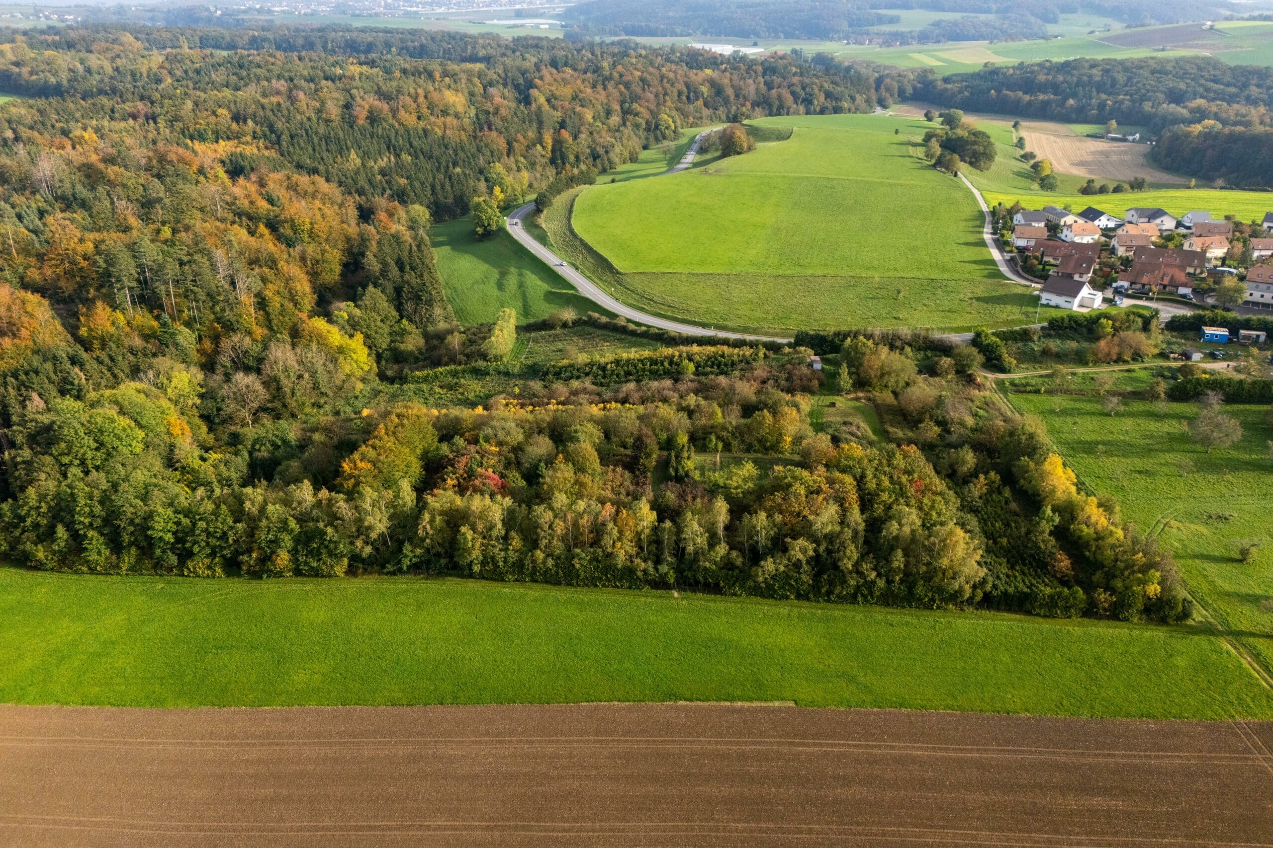 Dekor Végétal vue du ciel