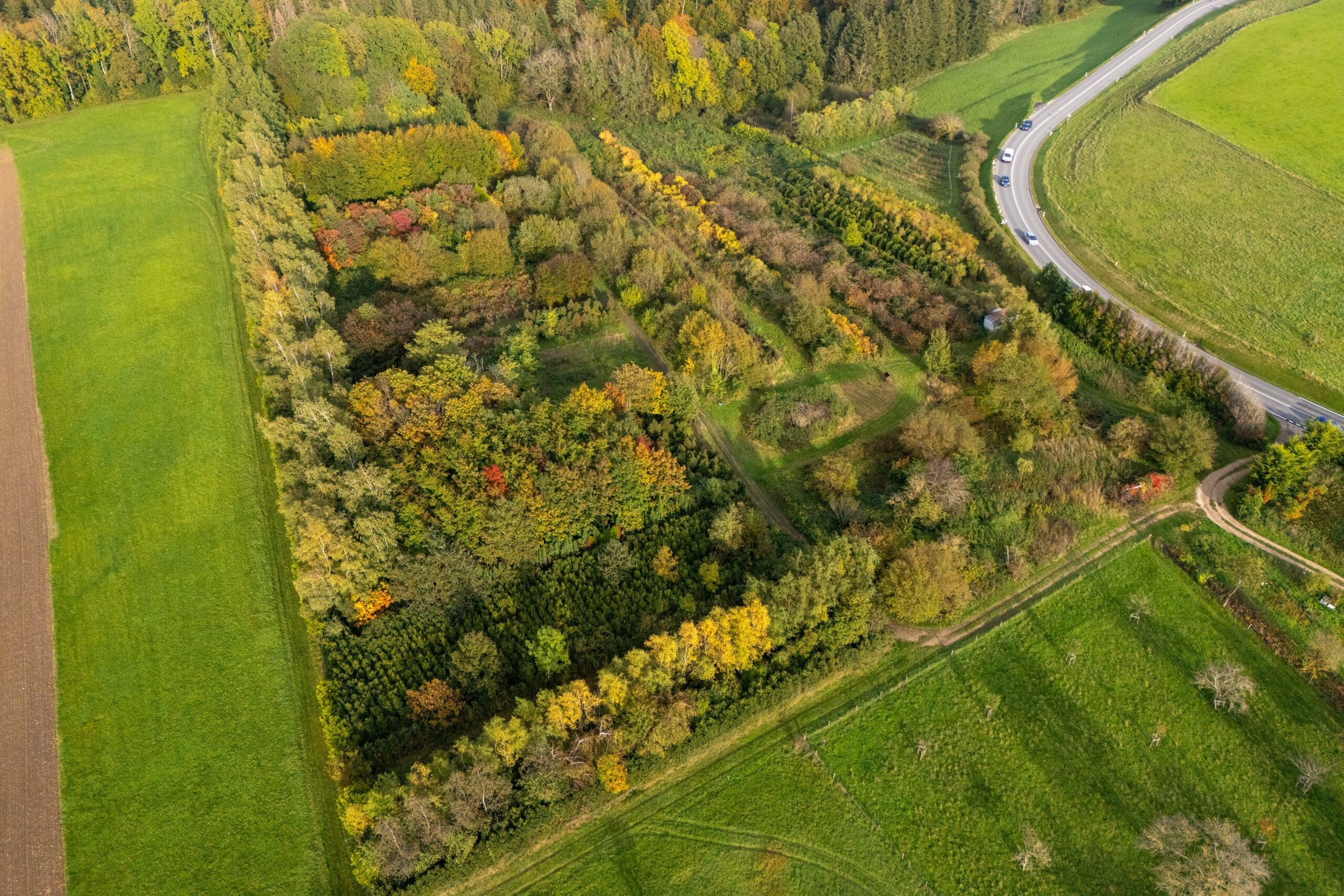 Pépinière à Vuiteboeuf