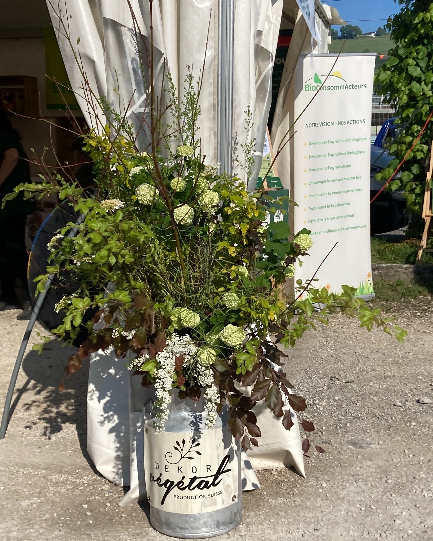 Plantes en exposition dans une foire