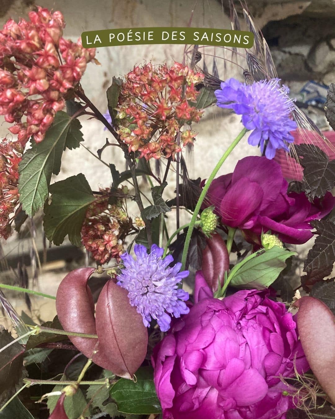 Bouquets Cadeau – Image 14