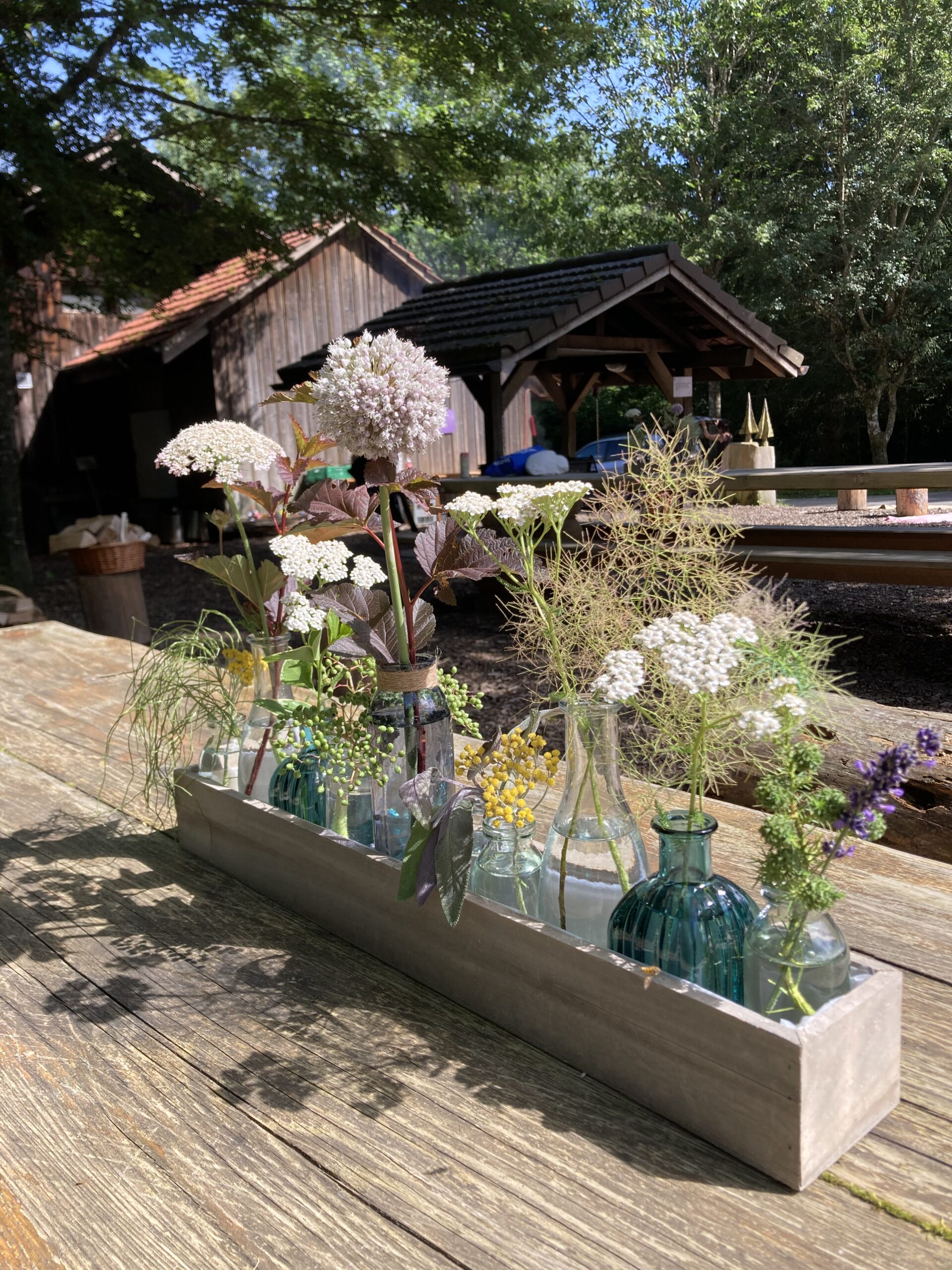 Plantes en décoration dans un évènement